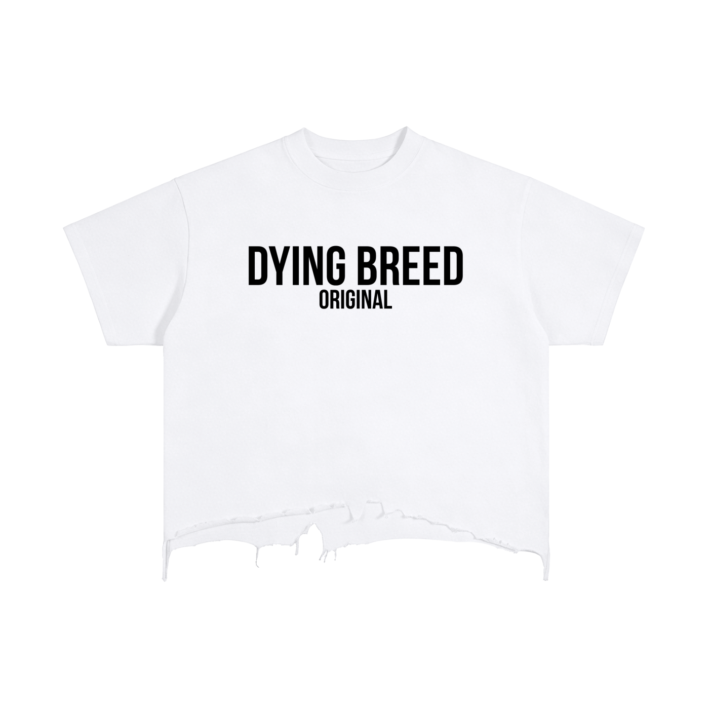 Women’s Original Logo Vintage Wash Distressed Hem T-Shirt