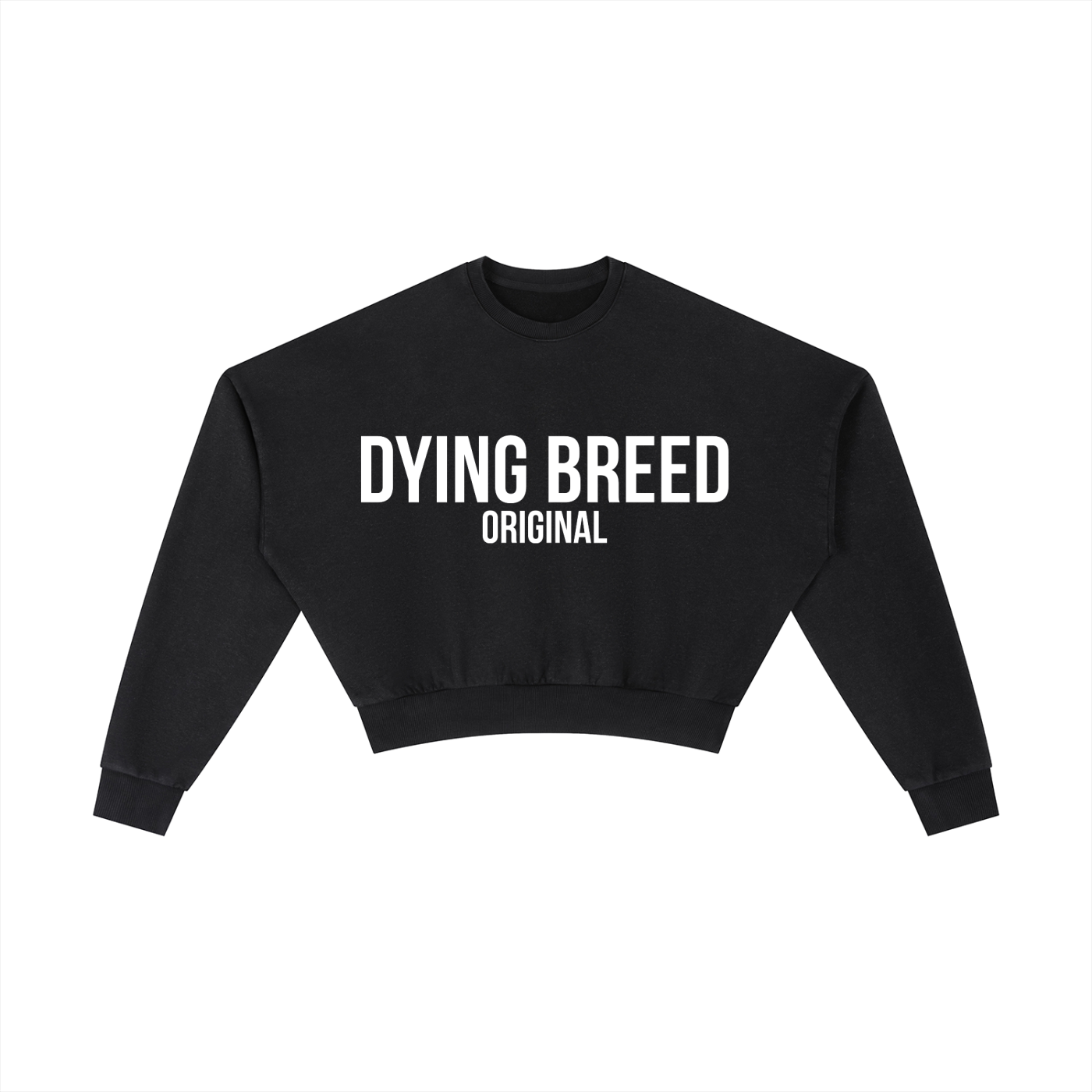 Women's Original Logo Premium Vintage Wash Cropped Sweatshirt