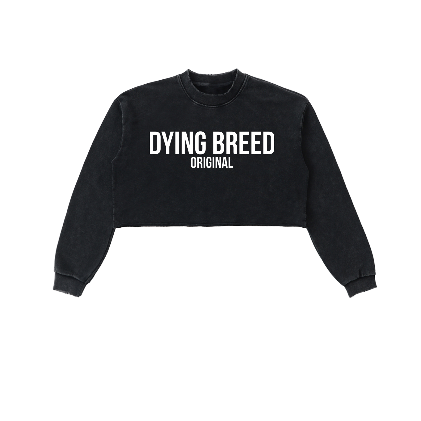 Women’s Original Logo Snow Wash Raw Edge Cropped Sweatshirt