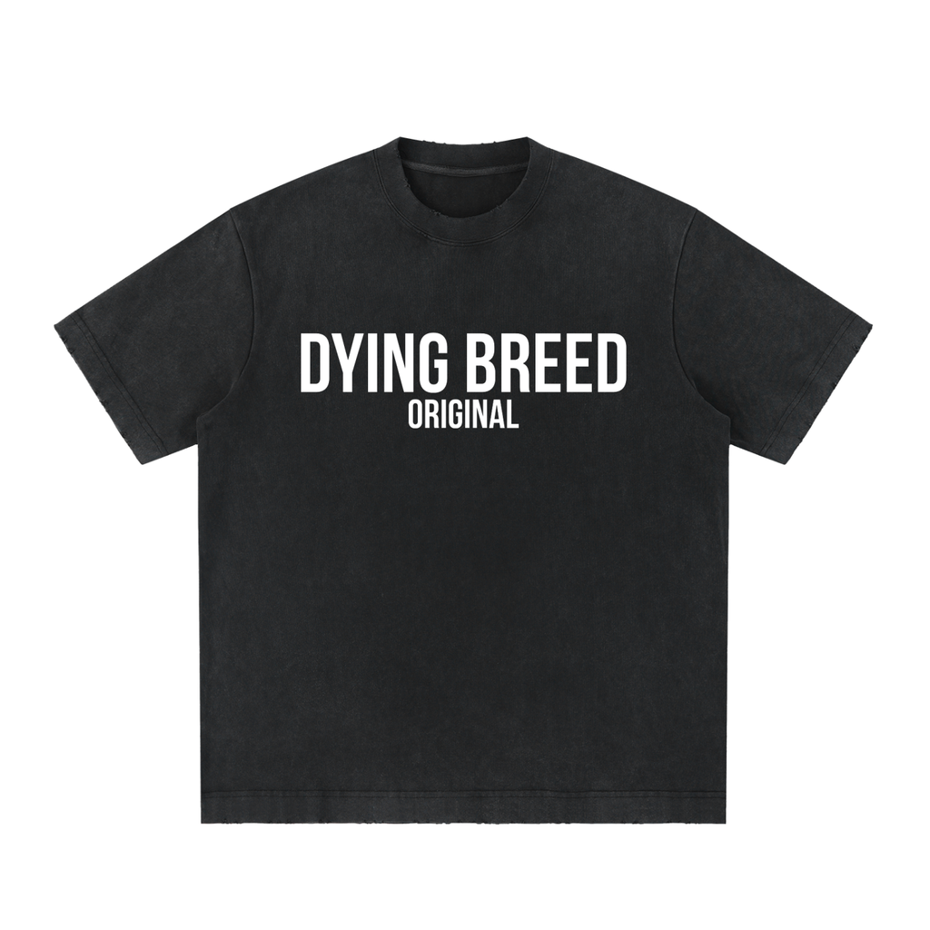Men's Original Logo Premium Heavyweight Vintage Wash Frayed T-Shirt