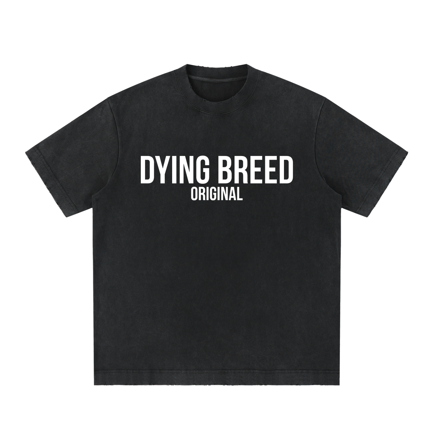 Men's Original Logo Premium Heavyweight Vintage Wash Frayed T-Shirt